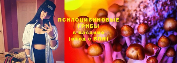 гидра Богородск