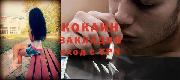 гидра Богородск