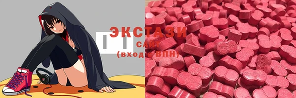 гидра Богородск
