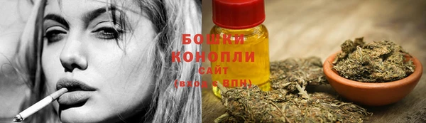 эйфоретик Снежногорск