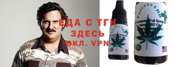 гидра Богородск