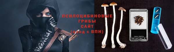 гидра Богородск