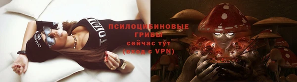 Альфа ПВП Богданович