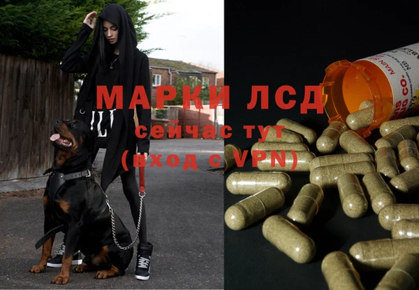 Альфа ПВП Богданович