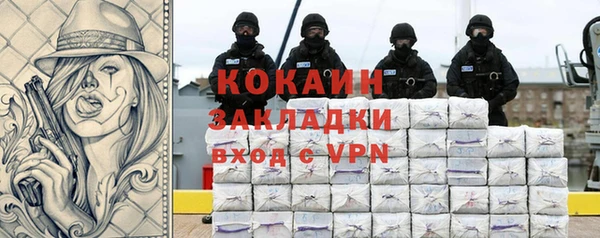 гидра Богородск
