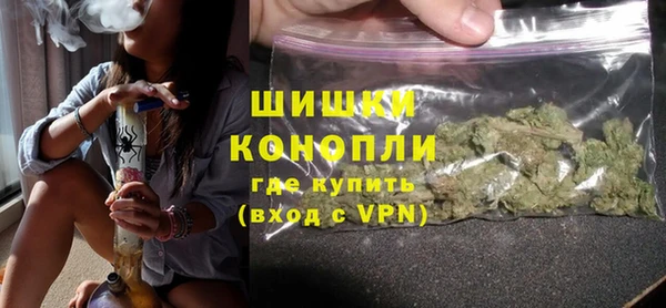 гидра Богородск