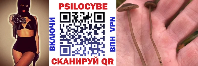 Галлюциногенные грибы ЛСД Киренск
